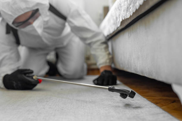 Professional Bed Bug Control technician working in Olla, LA